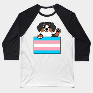 Love is Love Puppy - Bernese Trans Pride Flag Baseball T-Shirt